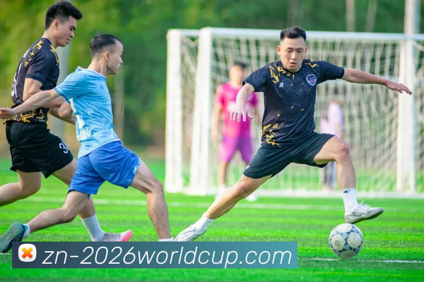 2026世界杯买球平台生态图